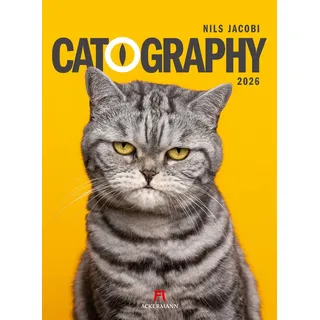Ackermann Catography Katzen-Kalender 2026