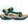 blue coral 39