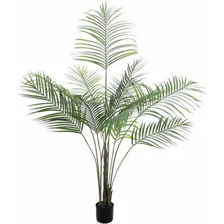 Europalms Großblatt-Areca, 185cm