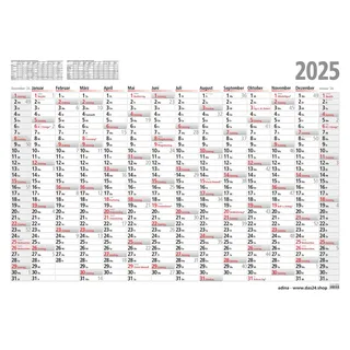 Adina 2025 ADINA Plakatkalender 60x42cm 13 Monate gerollt