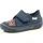 blau/rot (8000) 24
