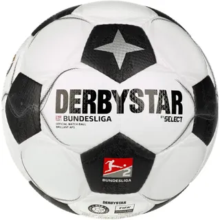 derbystar 2. Bundesliga Brillant APS v24 24/25