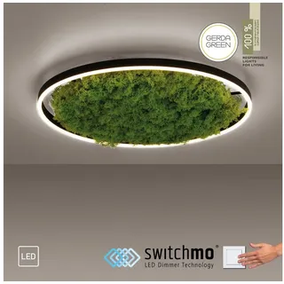 just light. LED-Deckenleuchte Gerda Ritus Moos 58,5 cm