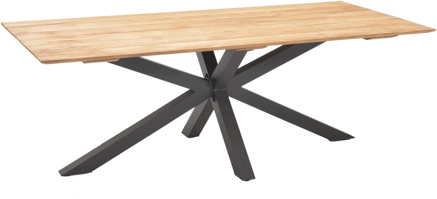 GENET Esstisch 99x216