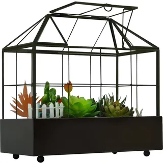 YIMORENCE V Großes hohes Pflanzen-Terrarium, Glas, Gewächshaus, Terrarium mit Deckel und Tablett, für den Innenbereich, für Orchideen, Sukkulenten, Kakteen, Terrarium-Set, 24 x 24 x 14 cm