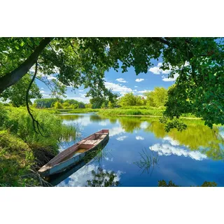 Papermoon Fototapete FRÜHLINGS-LANDSCHAFT-FLUSS BOOT BÄUME STRAND UFER WALD bunt 4,50 m x 2,80 m