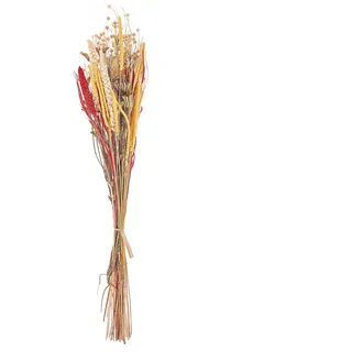 Trockenblumenstrauß PAMPELUNA 65 cm Naturfarben