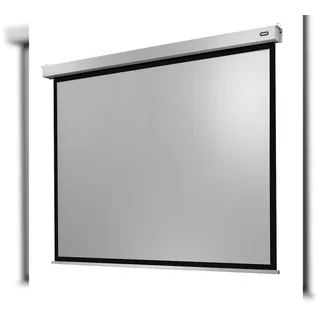 Celexon Motor Professional Plus 300x225 4:3