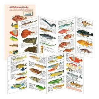 sub-base Logbuchsysteme Fischkartenset Mittelmeer