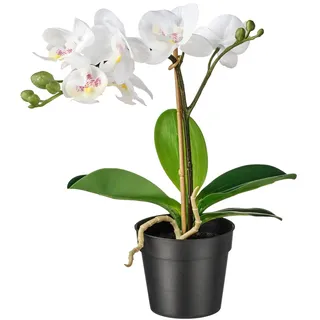 IKEA FEJKA Topfpflanze, künstlich Orchidee weiß