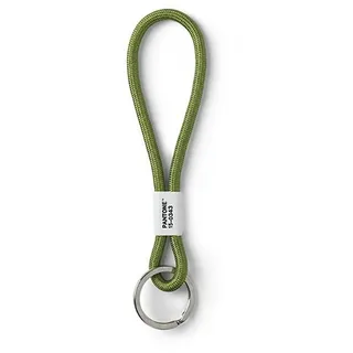 Pantone Design-Schlüsselband Key Chain short | Schlüsselanhänger robust und farbenfroh | kurz |green 15-0343| grün, 18