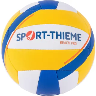 Sport-Thieme Volleybälle, 5