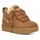 Chestnut 37