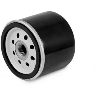 Ashika Ölfilter 10-ECO129