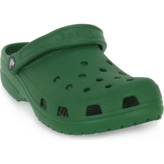 Green Ivy 43-44