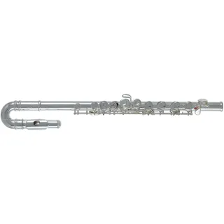 Roy Benson Kinder Querflöte FL-102, Flöte (Neusilber-Mechanik, mit Finger-Buttons, erstklassige PISONI Polster, inkl. Wischerstab und Putztuch, leichtes Rechtecketui mit Rucksackgarnitur), Silber