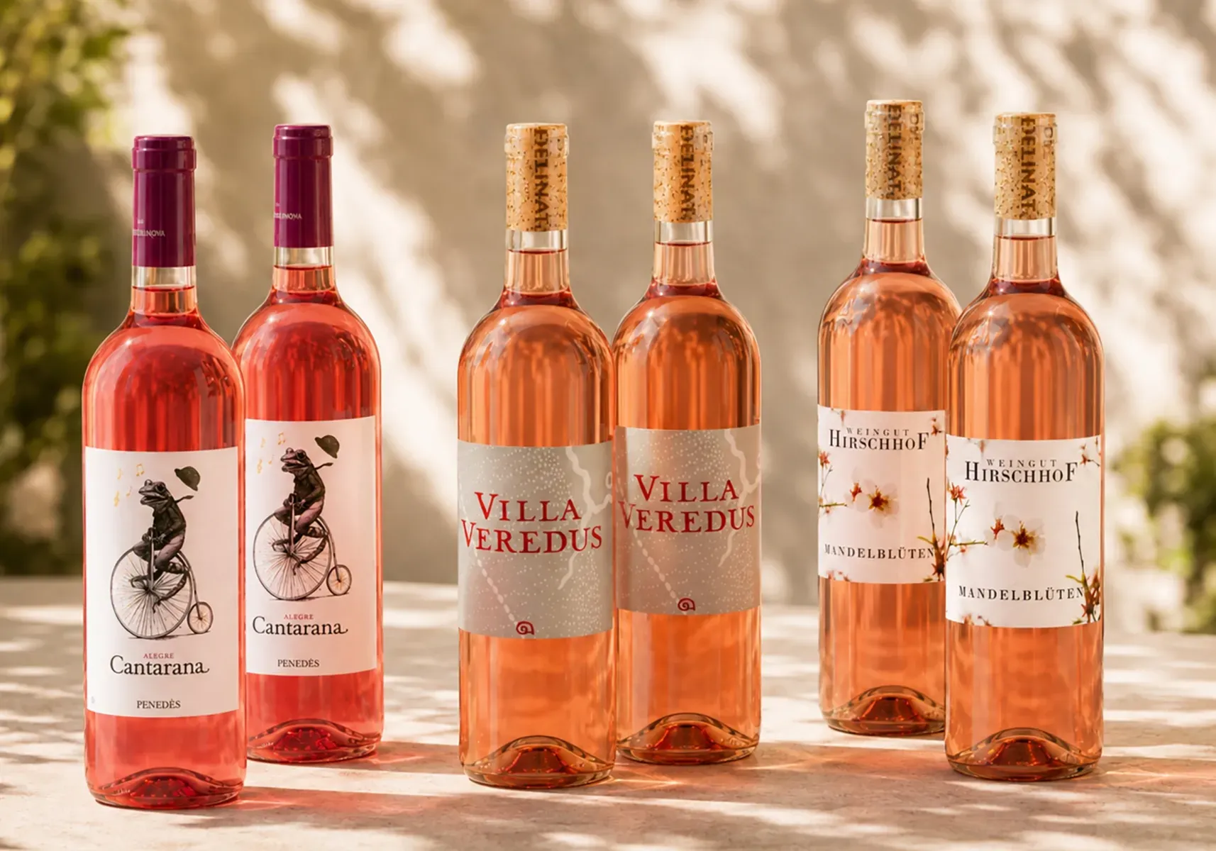 Rosé in Bestform 6 Flaschen sommerliche Roséweine, Bio Probierpakete