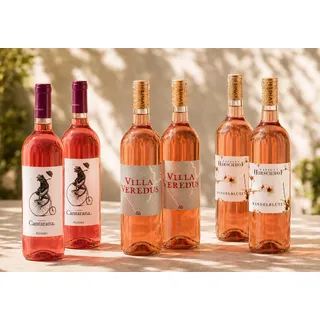 Rosé in Bestform 6 Flaschen sommerliche Roséweine, Bio Probierpakete