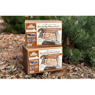Bio-Steinchampignon-Pilzzucht-Set, 2 Boxen im Set, braun + braun