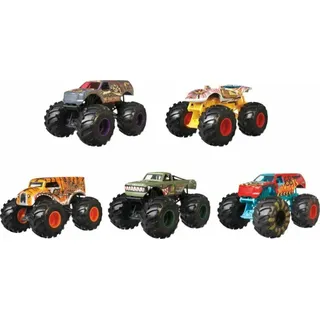 HOT WHEELS Monster Trucks 1:24 Sortiment