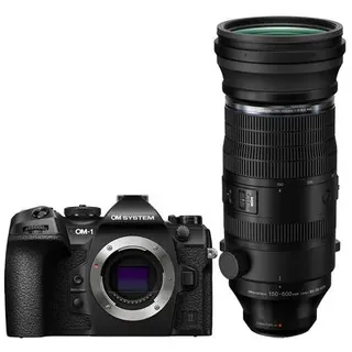 OM SYSTEM OM-1 II + M.Zuiko Digital ED 150-600mm f/5.0-6.3 IS