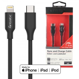 Fontastic Datenkabel Ere Typ-C auf Lightning schwarz