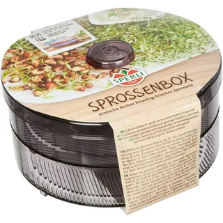 Sperli Sprossenbox Anzuchtset