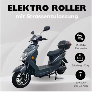 STW GmbH ENJOY 1,0 kW 45 km/h Grau