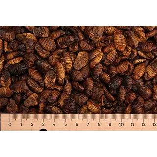 1,0 kg Premium Seidenraupen - Koifutter