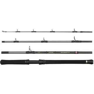 Penn Regiment Iv Boat Travel Spinnrute - Silver - 2.10 m - 30-50 Lbs