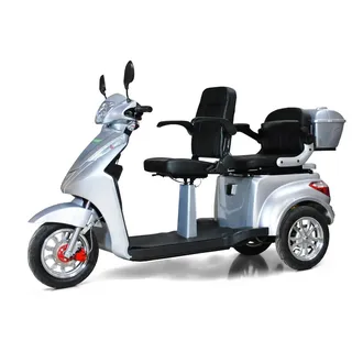 Efun ECO ENGEL 503 Silber, 25 km/h, Dreirad Roller
