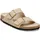 schmal triples sandcastle oyster 41