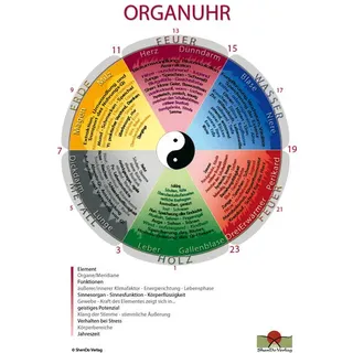 Organuhr-Schaubild DIN A 3 von Nirgun W. Loh/ Sakina K. Sievers / ShenDo Verlag / Bei Hugendubel