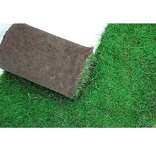 Piardino Premium Rollrasen  (50 m2 - 99 m2, Gebrauchsrasen, Gräser nach RSM 3.1)