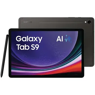 Enterprise Edition 11.0'' 128 GB Wi-Fi + 5G Graphite