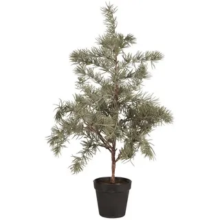 ib laursen Zederbaum im Topf, in grün Ø Gr.: S