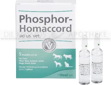 PHOSPHOR HOMACCORD ad us.vet.Ampullen 5 St