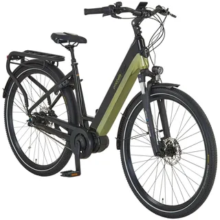 Prophete Geniesser 5.0 28 Zoll RH 48 cm Schwarz-Silbergrün