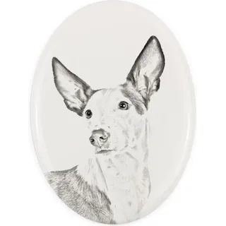 Podenco Ibicenco, Ibiza-Podenco,Ca Eivissec - Gedenktafel mit einem Foto eines Hundes, Grabplatte mit Druck, personalisierte ovale Platte der Marke...