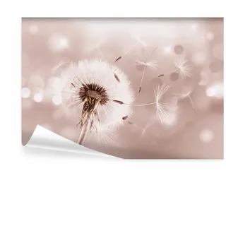 decomonkey Fototapete Pusteblume Natur 250x175 cm XL Tapete Fototapeten Vlies Tapeten Vliestapete Wandtapete moderne Wandbild Wand Schlafzimmer Wohnzimmer Blumen Abstrakt
