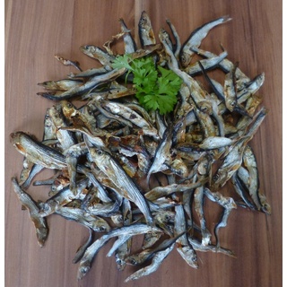 SPROTTEN