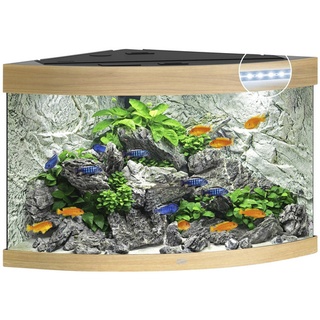 JUWEL AQUARIUM JUWEL Trigon 190 LED Aquarium - braun