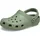 Moss 42-43