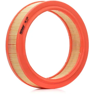 Filtron Luftfilter