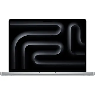 2024 M4 Pro 24 GB RAM 512 GB SSD 20-Core GPU Silber