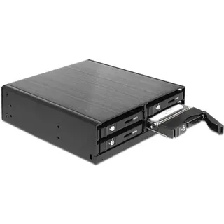 DeLock 47220 2.5Zoll Schwarz - Speicherlaufwerksgehäuse (2.5 Zoll, Schwarz, Leistung, 1 Lüfter, 6 Gbit/s)