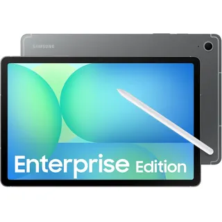 Enterprise Edition 10.9'' 128 GB 5G Gray
