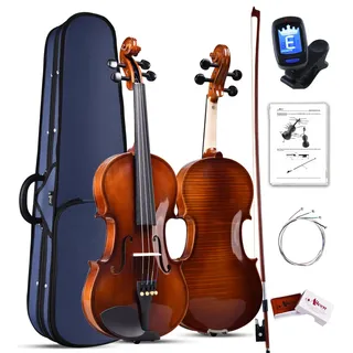 Aileen Violin 4/4 Erwachsene, Geige Anfänger Glänzendes antikes Erscheinungsbild