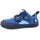 Bär Blau 31