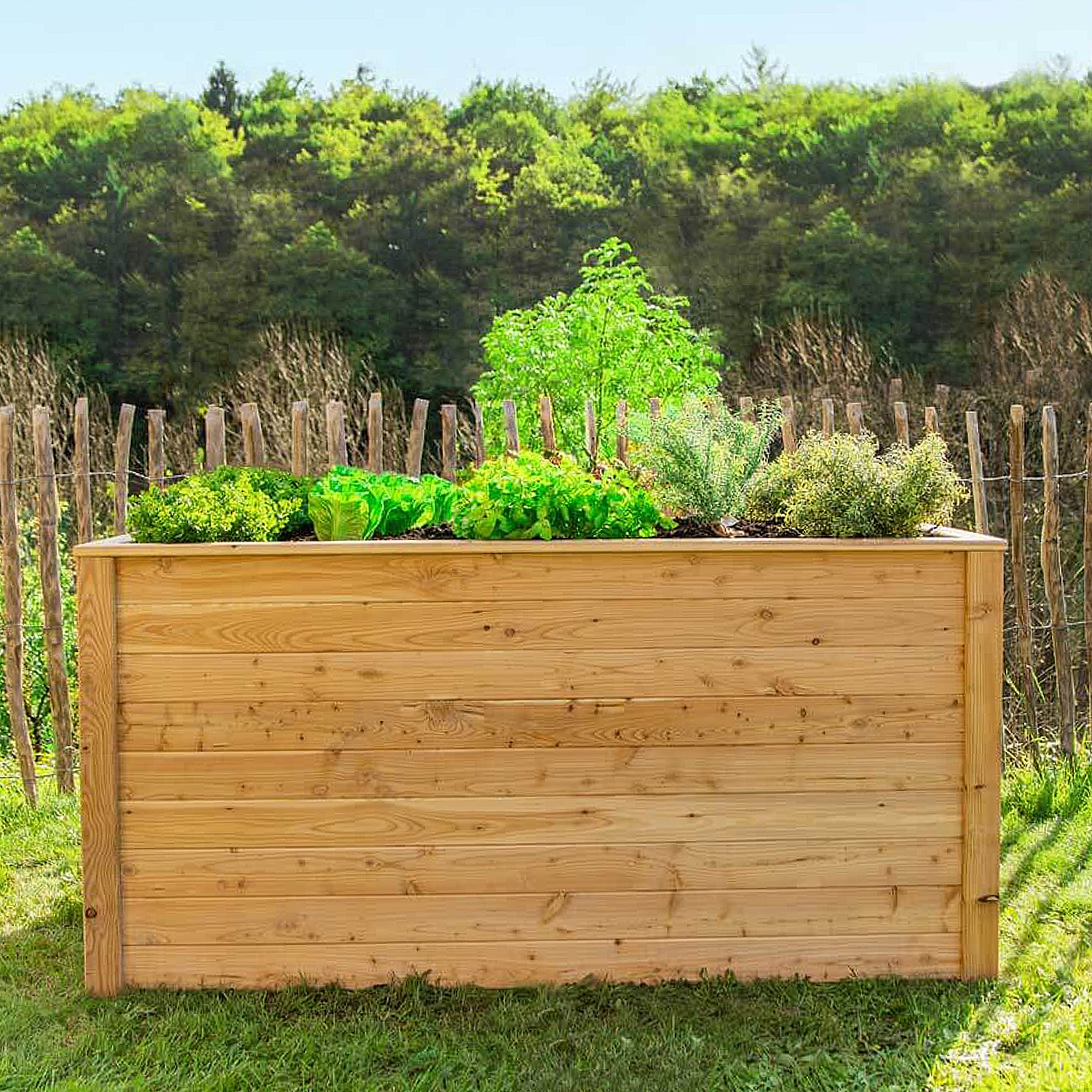 WESTMANN Hochbeet aus Lärchenholz | 170x90x84 cm Natur | Holzhochbeet zum bepflanzen von Gemüse & Kräutern